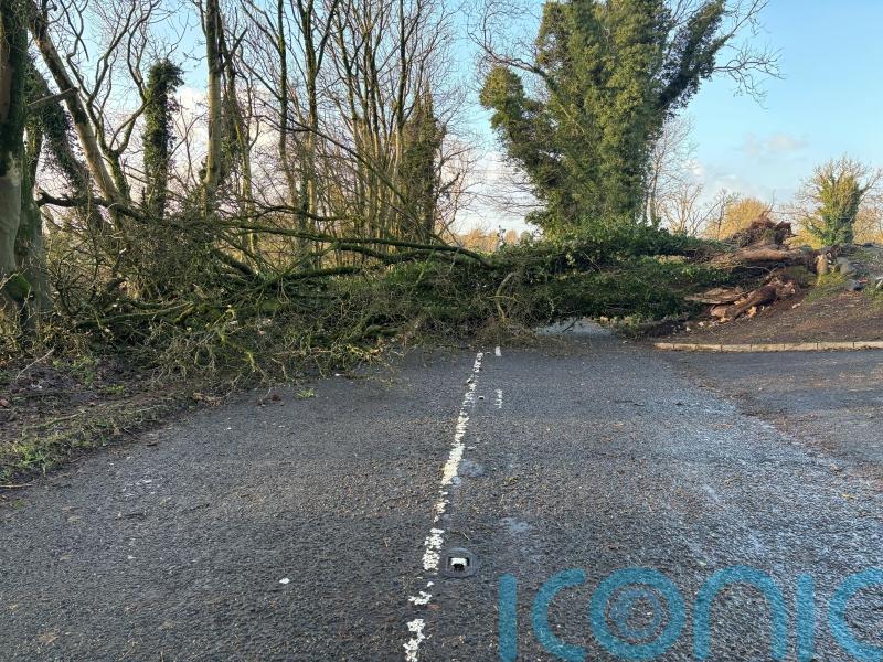 About 22,000 remain without power in Northern Ireland following Storm Darragh