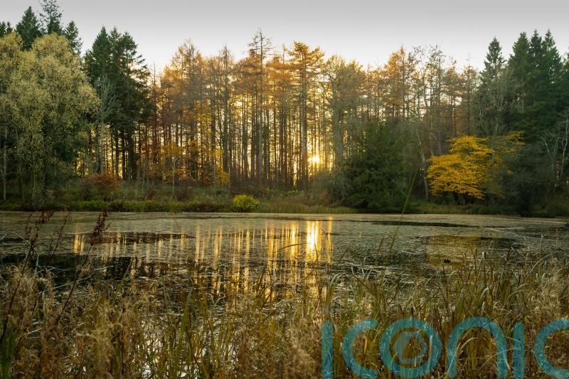 National Trust plans 250,000 hectares of nature-rich landscapes over 10 years