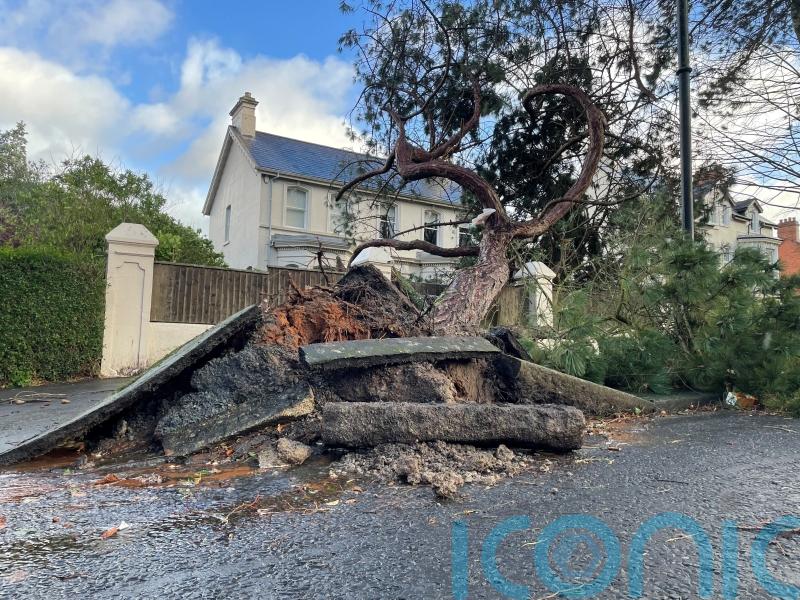 More than 280,000 without power in NI after Storm Eowyn batters region