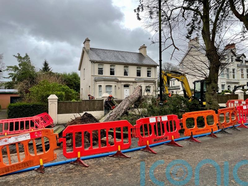 75,000 remain without power in Northern Ireland after Storm Eowyn