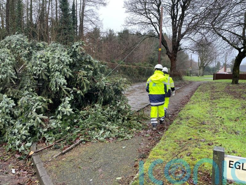 &lsquo;Apocalyptic&rsquo; damage inflicted on forest parks by Storm Eowyn &ndash; Muir