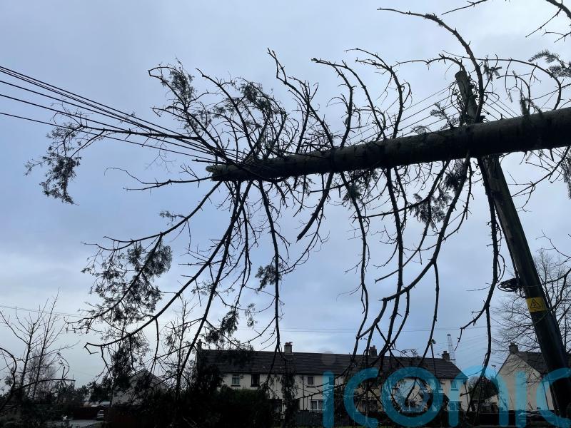 Comparing broadband storm repairs with power supply response ‘unfair’, MLAs told