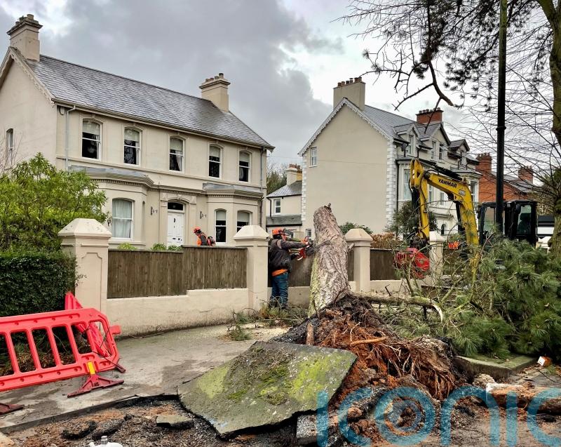 ‘No routes’ for NIE Networks to make compensation payments after Storm Eowyn