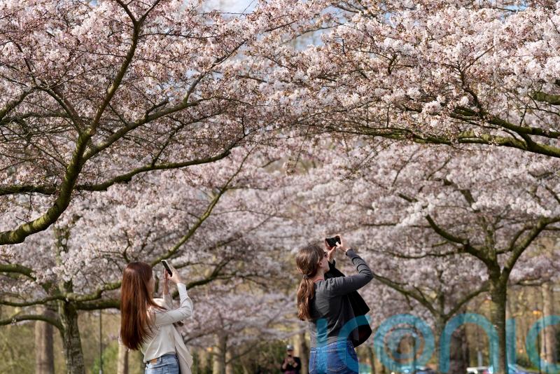 Temperatures top 21C to make it hottest day of 2025 so far