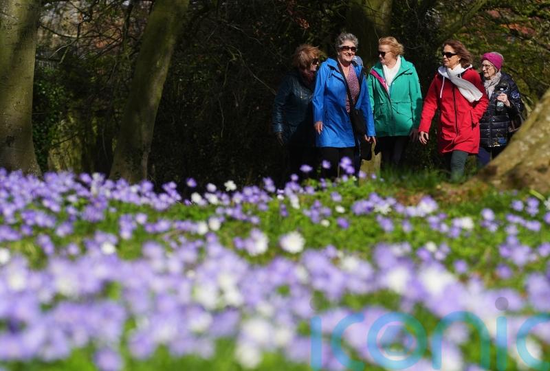Sunshine and warmth to return to UK for Mother’s Day and into next week