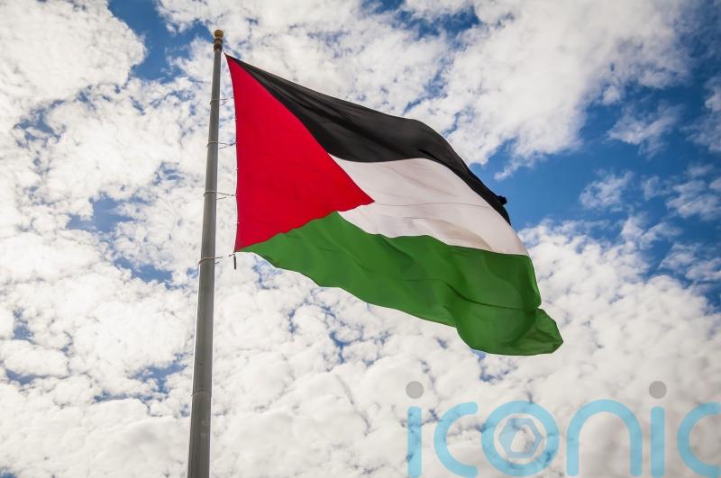 Four arrested and three cautioned following protests against pro-Gaza march