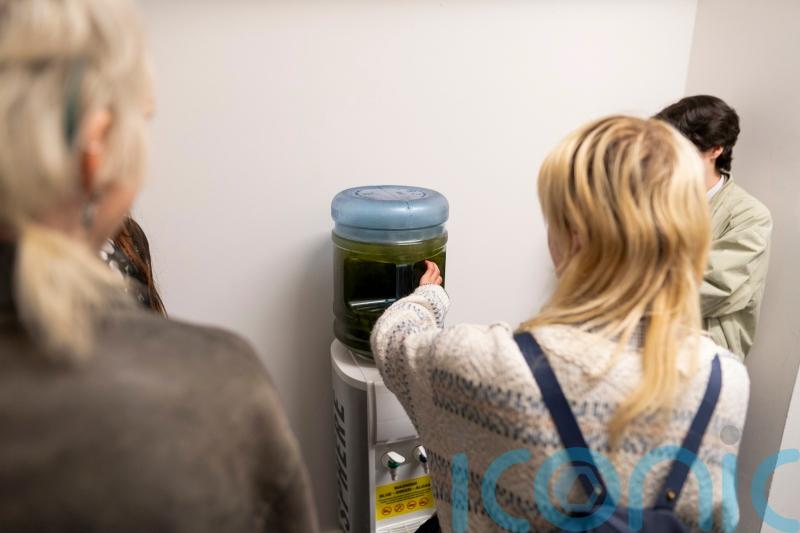 Blue-green algae from Lough Neagh displayed during Belfast Photo Festival