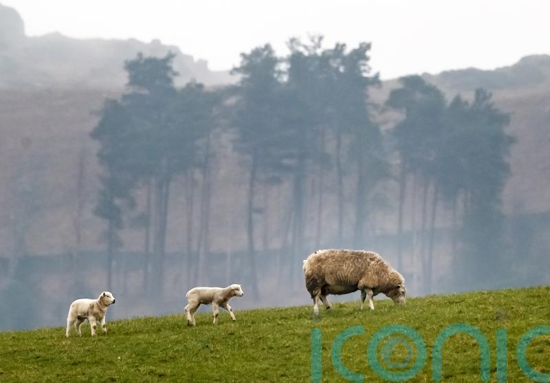 Rise in farm incomes to £766m welcomed