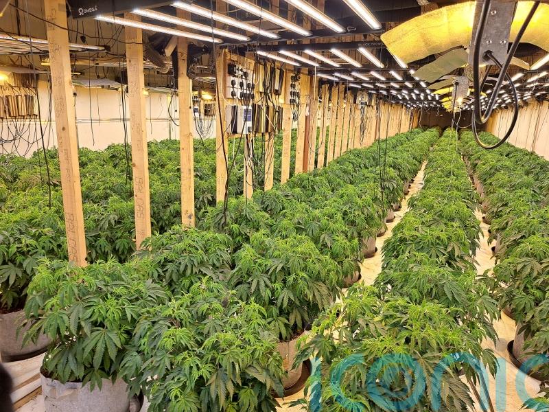 Suspected cannabis operation linked to INLA, police say