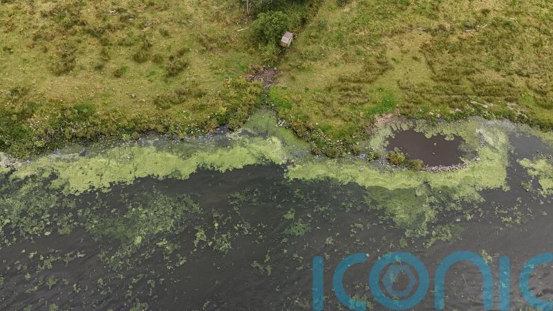 Archbishop expresses concern at condition of Lough Neagh