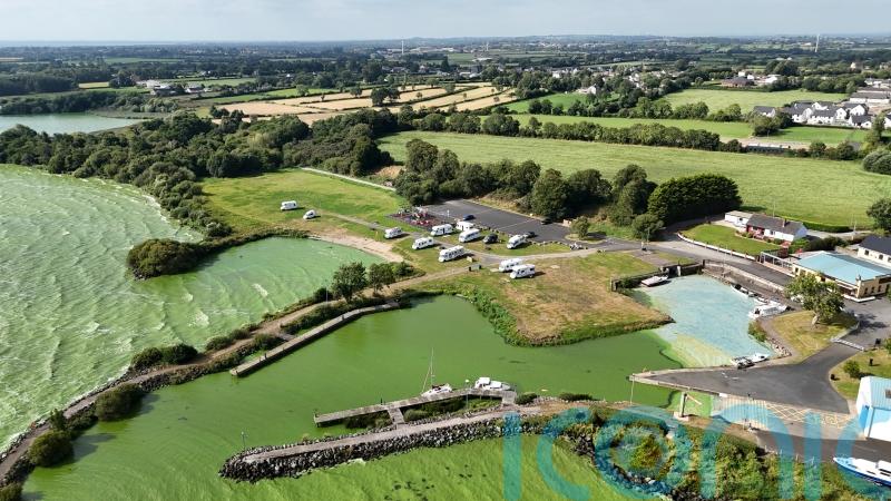 Conservation rally held on shores of Lough Neagh as algae bloom returns