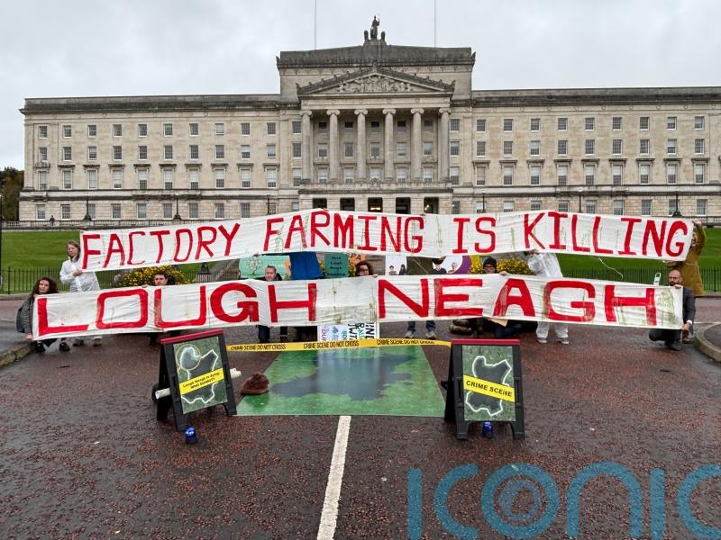 Stormont declared ‘crime scene’ over environmental crisis at Lough Neagh