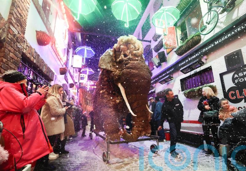 Mammoth festive surprise for revellers in Belfast&rsquo;s Cathedral Quarter