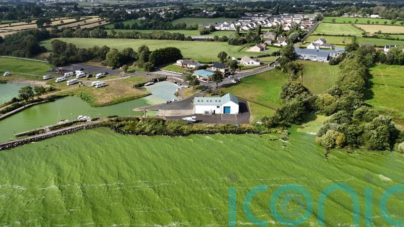 Muir warns of &lsquo;deliberate attempt&rsquo; to undermine science over Lough Neagh