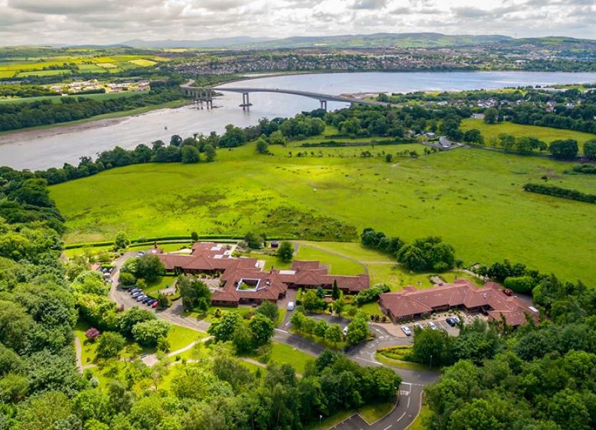 Foyle Hospice Christmas tree recycling scheme returns Derry Now