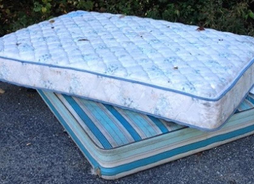 Derry City and Strabane District Council’s Bulky Waste Collection Service has been reinstated