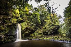 Ness Woods waterfall