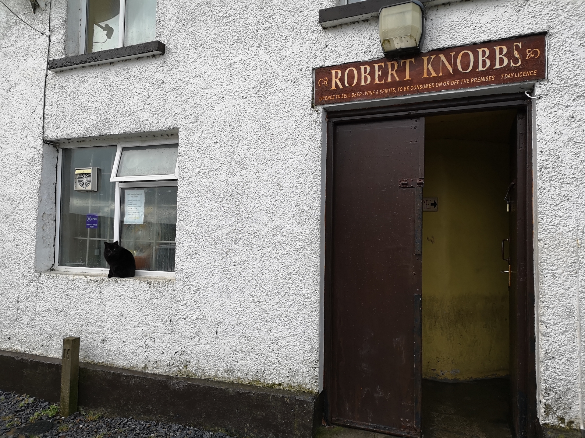 The black cat that follows Jack Knobbs to and from the bar.