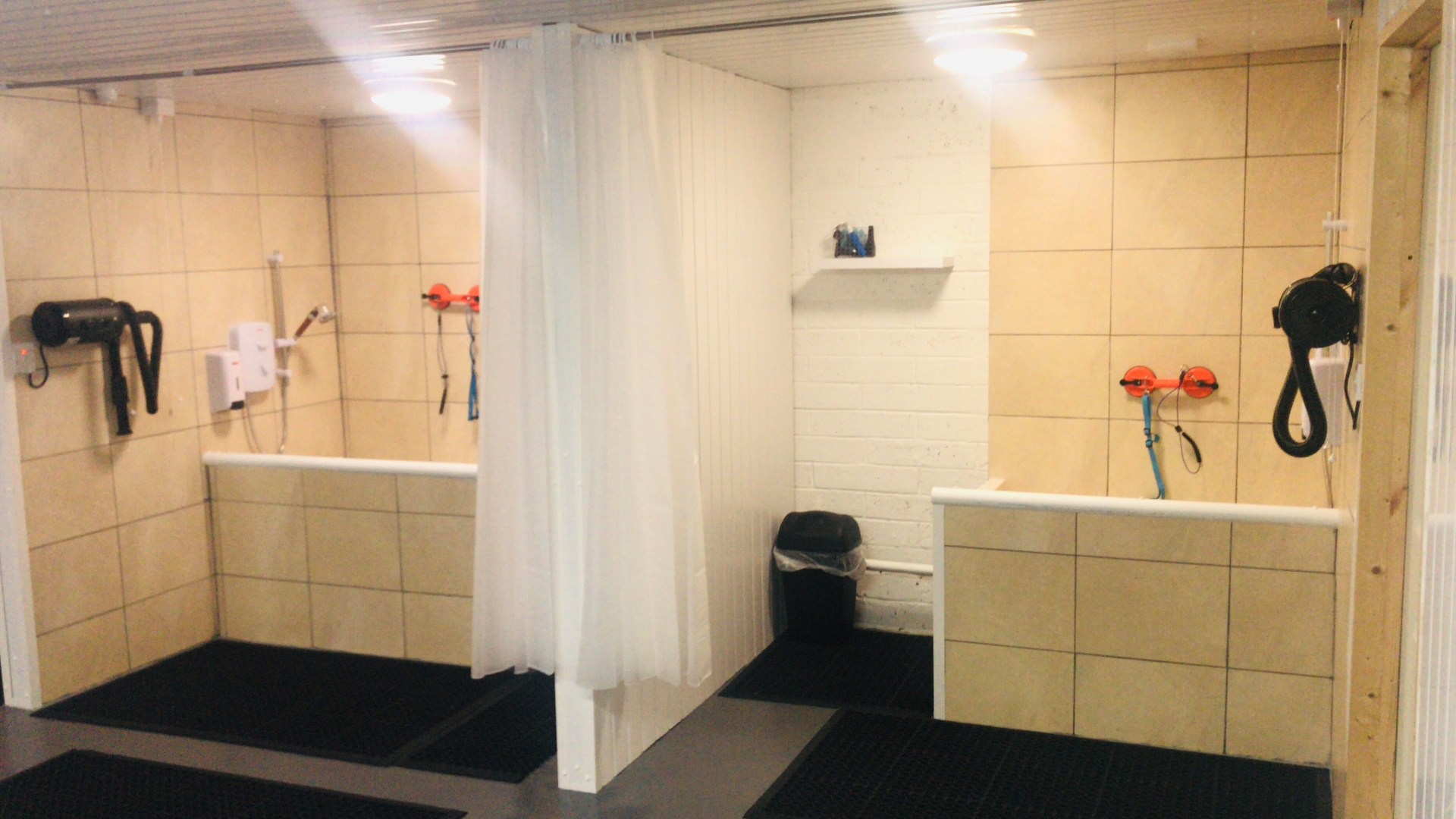 Ireland's first 'doggie bath' business opens in Derry Derry Now