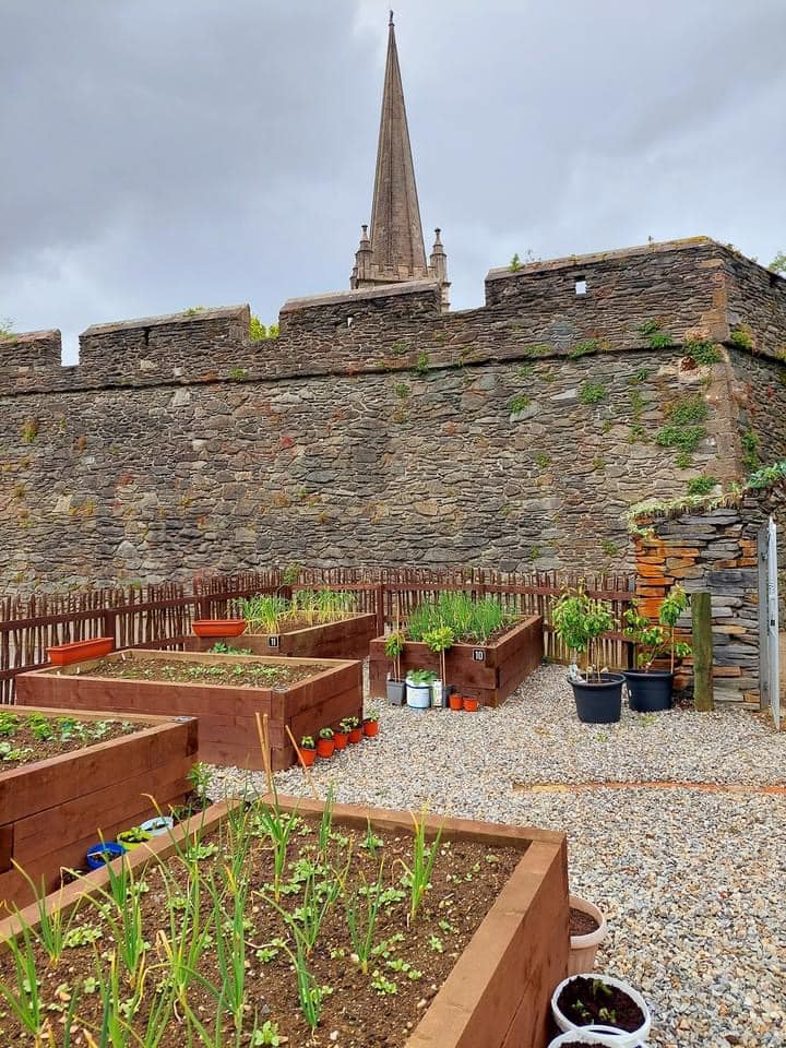 Community garden in Derry wins a major competition run by The One Show