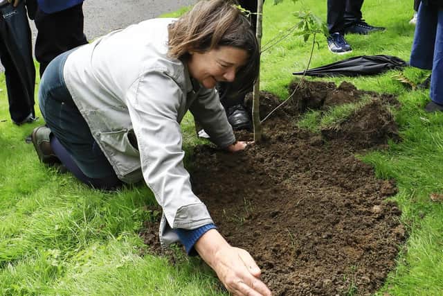Pat’s daughter Áine planting an oak sapling in memory of her mother in the grounds of St. Eugene's Cathedral.